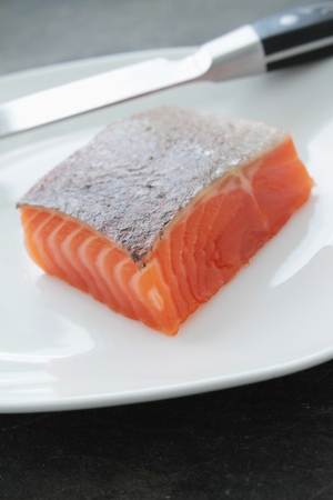 fresh sea trout salmon filletの写真素材