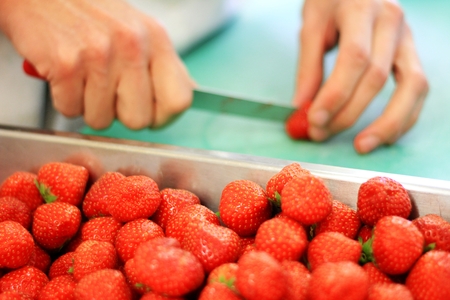 preparing foodの写真素材