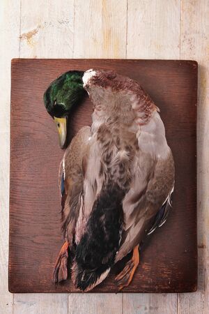 seasonal foodの写真素材