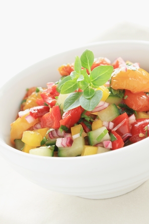 fresh vegetable salsaの写真素材