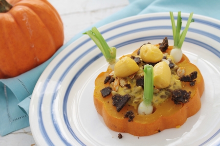 plated munchkin pumpkin mealの写真素材