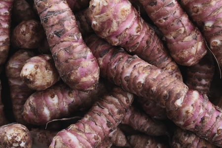 jerusalem artichokeの写真素材