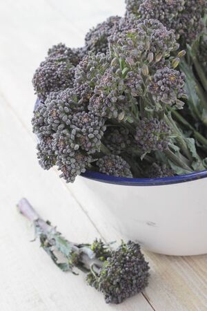 purple sprouting broccoliの写真素材