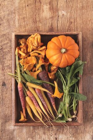 seasonal autumn vegetablesの写真素材