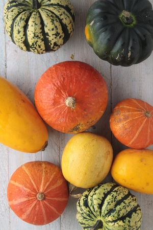 squash vegetable selectionの写真素材