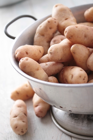 Pink fir apple potatoの写真素材