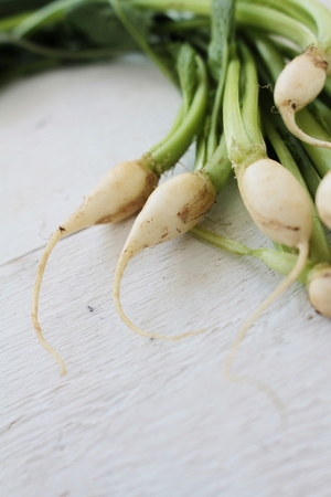 baby turnipsの写真素材