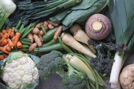 vegetable selection backgroundの写真素材