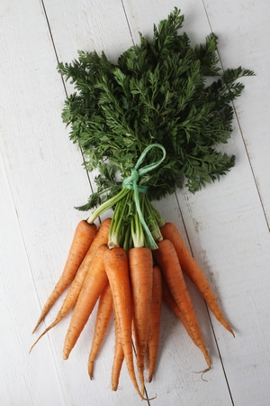fresh harvested carrotsの写真素材