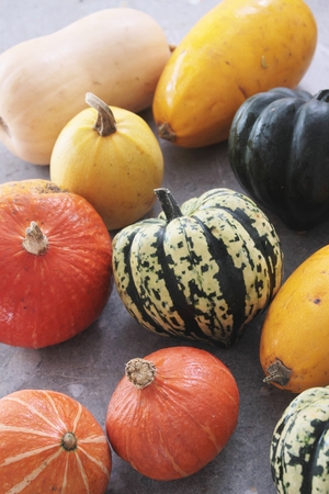 squash vegetable selectionの写真素材