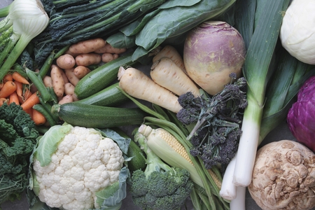 vegetable selection backgroundの写真素材