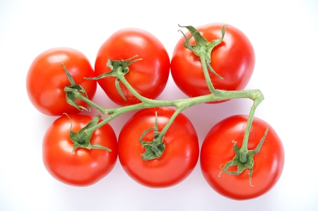 fresh red tomatoの写真素材