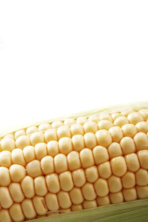fresh sweetcorn cobの写真素材