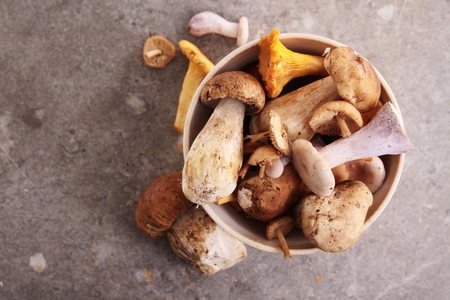 wild mushroom selectionの写真素材