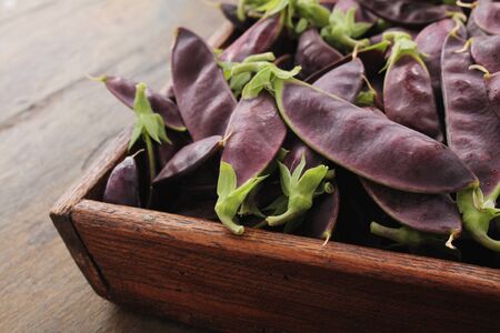 fresh purple mangetoutの写真素材