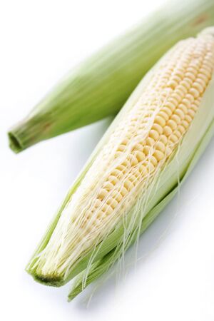 fresh sweetcorn cobの写真素材