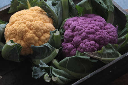heritage cauliflowersの写真素材