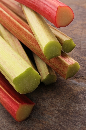 fresh English forced rhubarbの写真素材