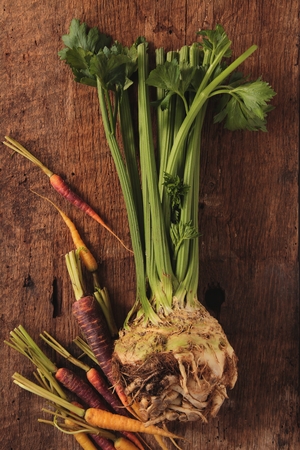 seasonal autumn vegetablesの写真素材