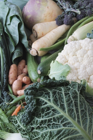 vegetable selection backgroundの写真素材