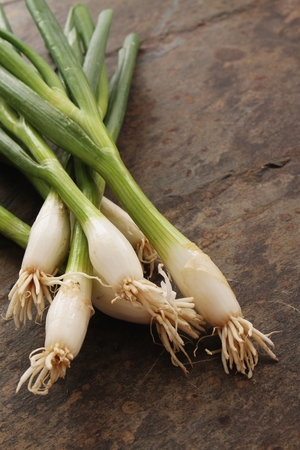 fresh spring onions on slateの写真素材