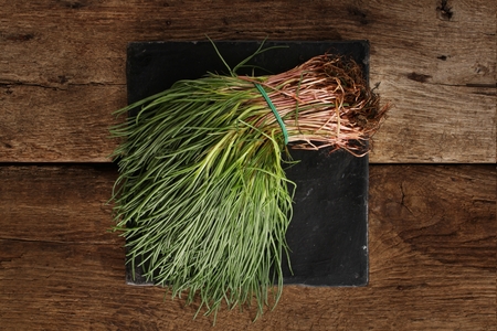 monks beard  Barbe dei Fratiの写真素材