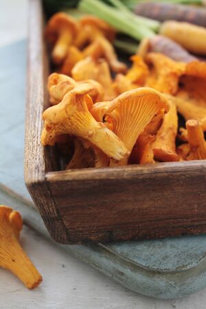 seasonal autumn vegetablesの写真素材