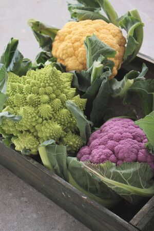 heritage cauliflowersの写真素材