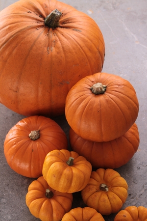 pumpkin selectionの写真素材