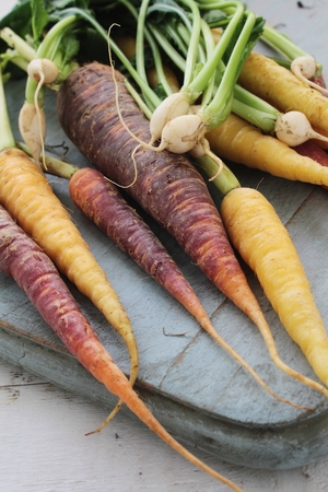 heritage chantenay carrotsの写真素材