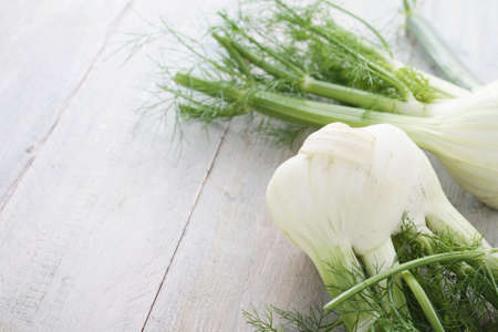 fresh harvested fennelの写真素材