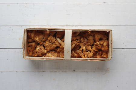 wild mushroomsの写真素材