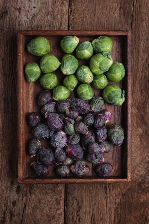 seasonal vegetablesの写真素材