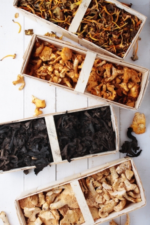 wild mushroomsの写真素材