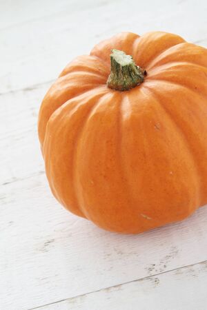 pumpkin selectionの写真素材