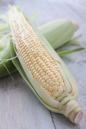 fresh sweetcorn cobの写真素材