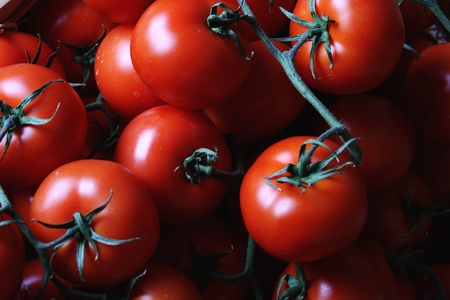 fresh tomatoesの写真素材
