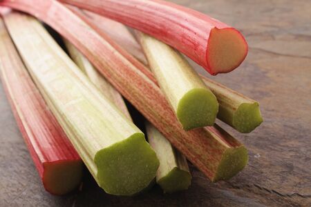 fresh English forced rhubarbの写真素材