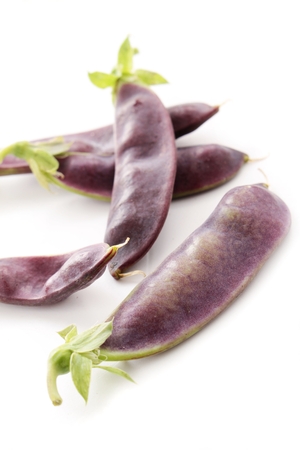 fresh purple mangetoutの写真素材