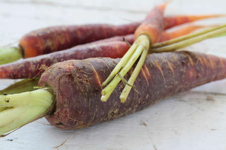heritage chantenay carrotsの写真素材