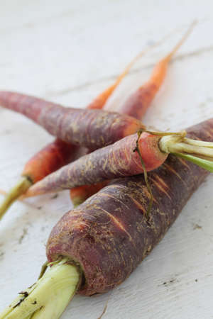 heritage chantenay carrotsの写真素材
