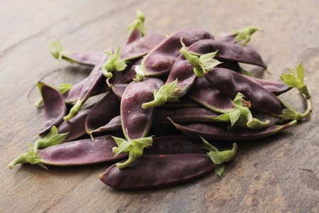 fresh purple mangetoutの写真素材