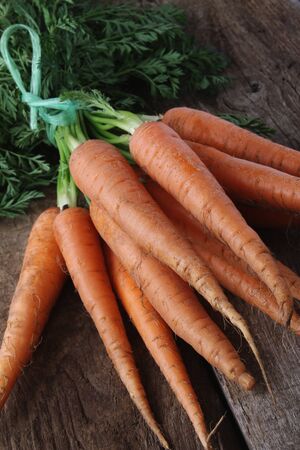 fresh harvested carrotsの写真素材