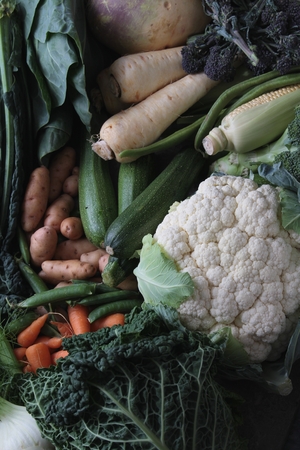 vegetable selection backgroundの写真素材