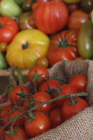 fresh tomatoesの写真素材