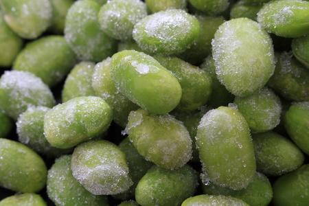 fresh soya beansの写真素材
