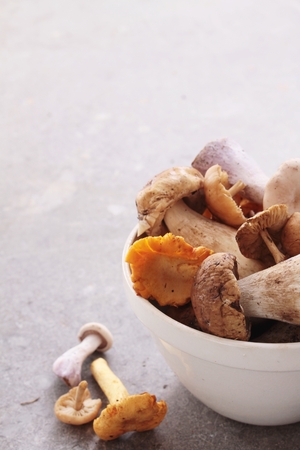 wild mushroom selectionの写真素材