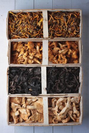 wild mushroomsの写真素材