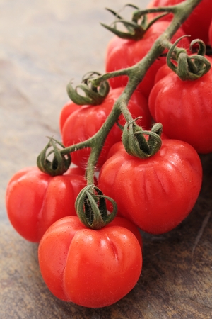 heritage tomatoesの写真素材