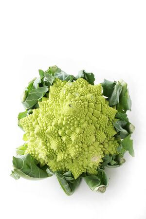 Romanesco broccoli couliflowerの写真素材